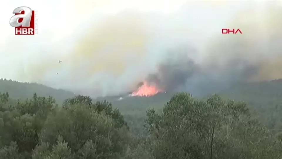 Çanakkale’de orman yangını