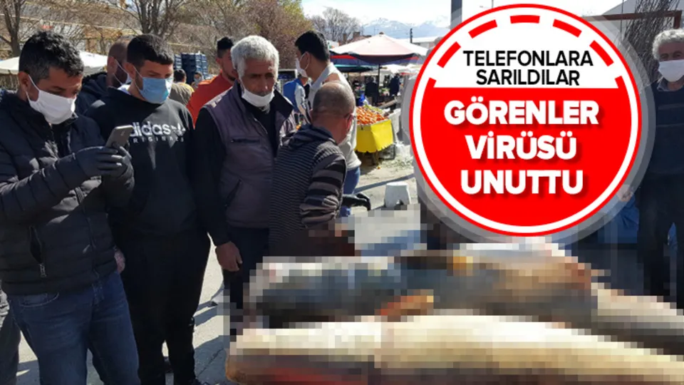 Erzincan'da ilginç görüntüler! Onlarca kilo ağırlığında balıkları görünce koronavirüsü unuttular