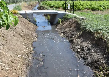 İzmir'de dereden foseptik atıkları aktığı iddiası