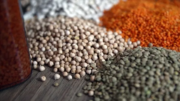 Son dakika | TMO’dan hububat açıklaması: 11 milyon tondan fazla aldık