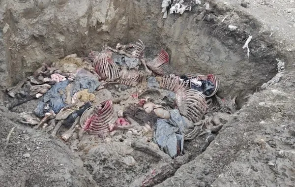 duzcede-baba-oglu-yeniden-at-keserken-yakalandi-300-kilogramlik-et-bulundu-1638449573927.jpg Düzce’de baba-oğlu yeniden at keserken yakalandı! 300 kilogramlık et bulundu - 2