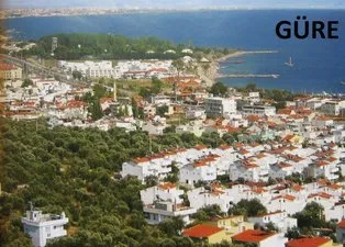 Kaz Dağları’ndaki yağmanın fotoğrafları!