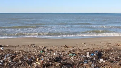 Sinop’ta kıyıya ceset vurdu