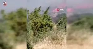 Söke’de zirai alan yangını