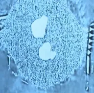 Penç Kılıç Harekatı sonrası hainleri korku sardı