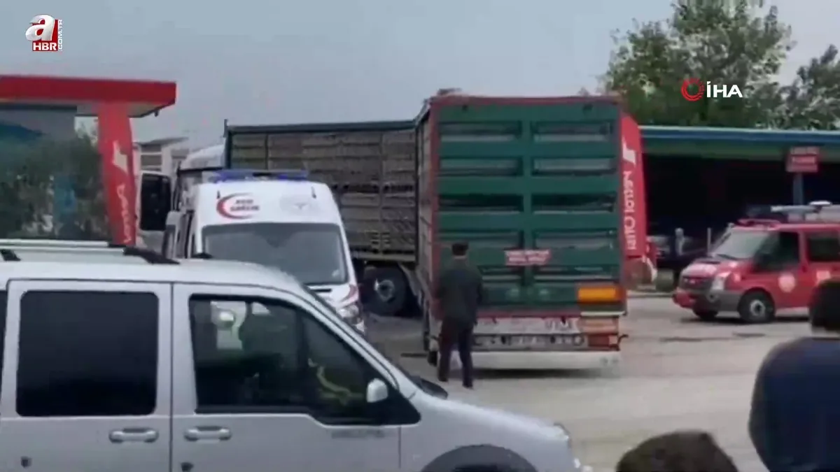 Tırın altında ezilen yaşlı adam öldü