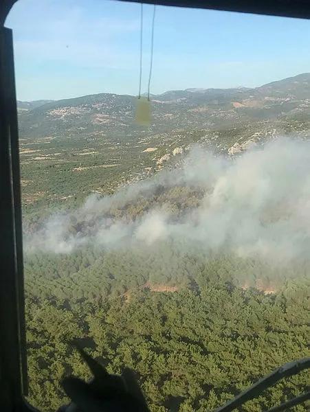 Balıkesir’de korkutan orman yangını! - 1