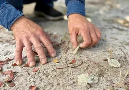 Gram gram toplanan dev servet! Kilogramı 50 bin TL'ye kadar çıkıyor
