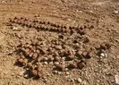 Çuvallar dolusu bomba bulundu!