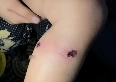 1774273844930.jpg Usame Ebu Nassar'ın oğlu Karim (X)