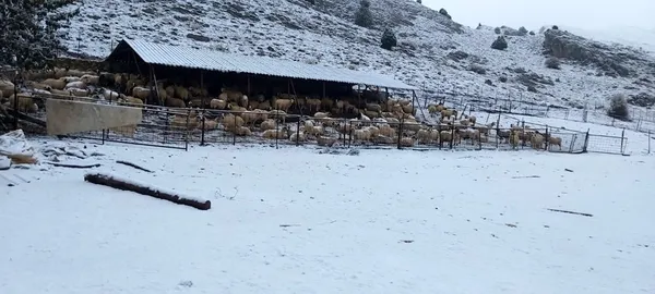 Kış geliyor! Antalya'ya mevsimin ilk karı düştü - 3