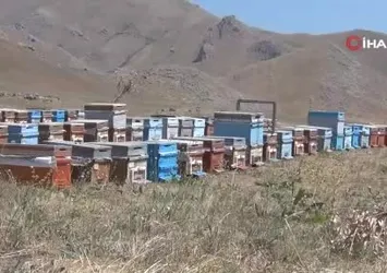 Doğal bal üreticileri tedirgin
