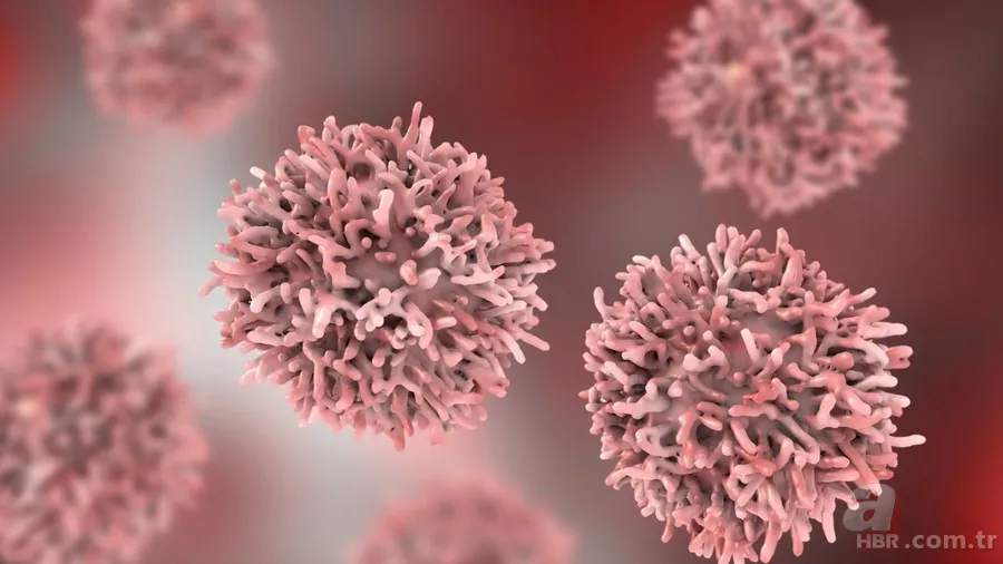 Ailede kanser öyküsü olanlar dikkat! Uzmanlar hastalık riskini azaltacak 5 tavsiyeyi paylaştı 6