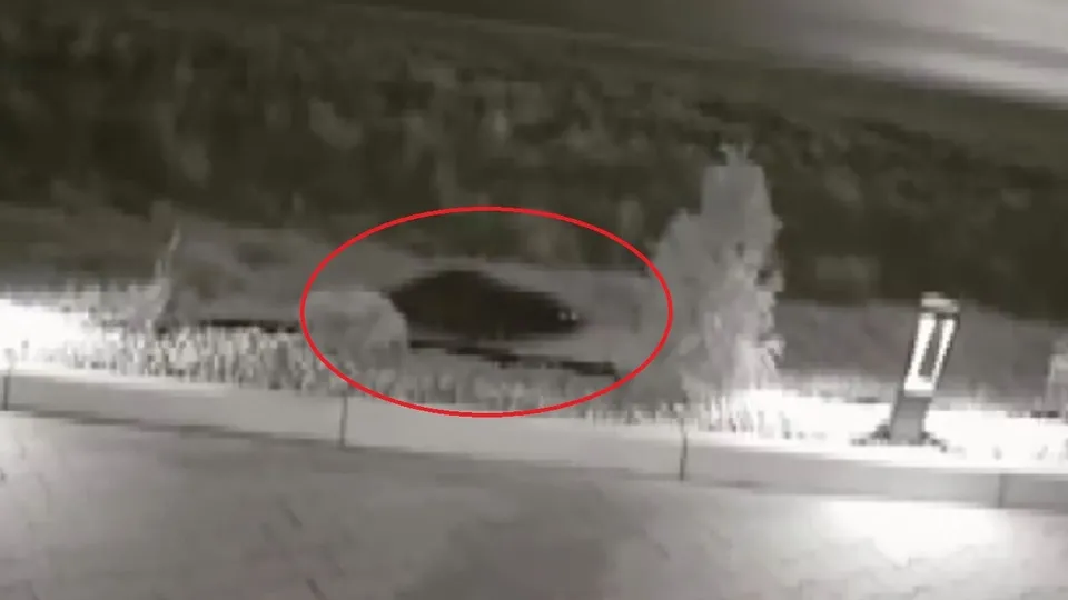 Son dakika haberi... Kameraları görünce gözlerine inanamadı! Her yerde onu arıyor |Video