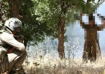 Şırnak'ta 5 terörist teslim oldu