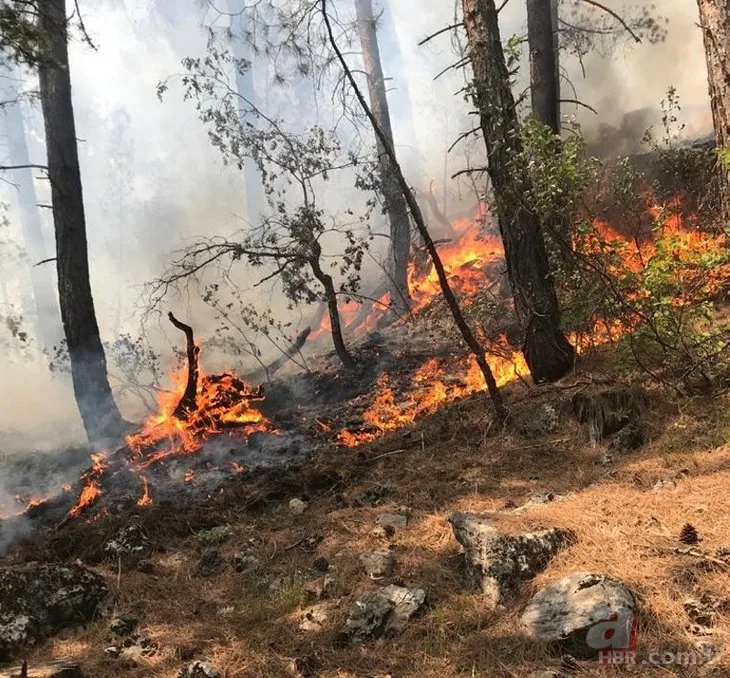 Antalya’da ormanlık alanda yangın çıktı! Havadan ve karadan müdahale sürüyor
