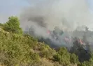 Manisada orman yangını