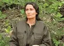 Yedilinin gölgesine sığındığı PKK’dan alçak tehdit