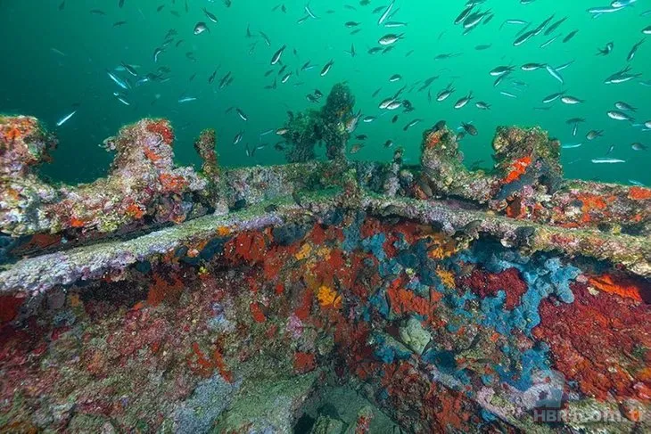 Gelibolu Tarihi Su Altı Parkı turizme açıldı! 14 Batık geminin gizemi çözülecek