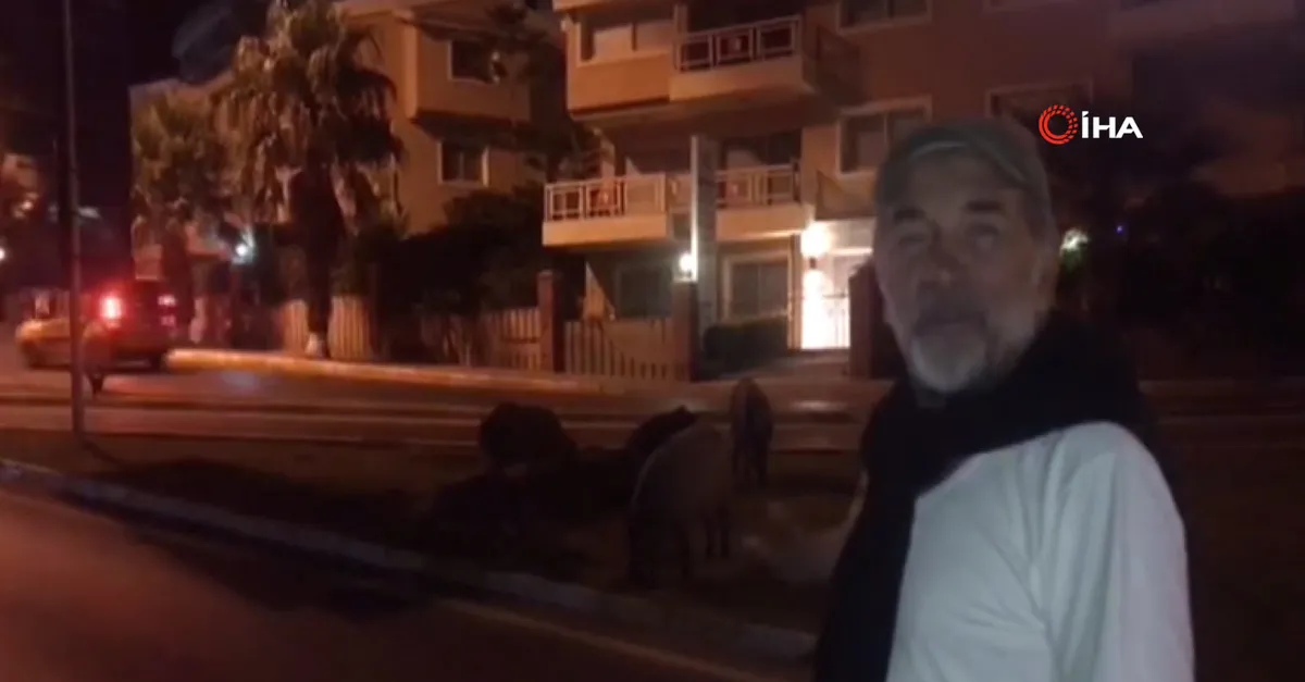 Kurtlar Vadisi’nin Ersoy Ulubey’i paylaşmıştı! Tatil cennetinde şaşırtan manzara