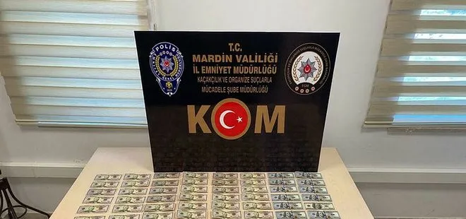 Mardin’de 6 bin 350 sahte dolar ele geçirildi