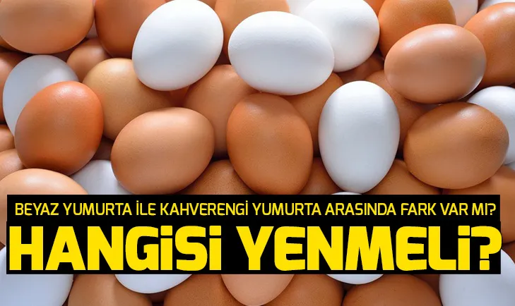 Beyaz ve kahverengi yumurta arasında fark var mı?