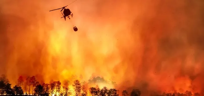 Türkiye genelinde süren orman yangınlarına ilişkin yeni açıklama | Tarım ve Orman Bakanı Pakdemirli duyurdu