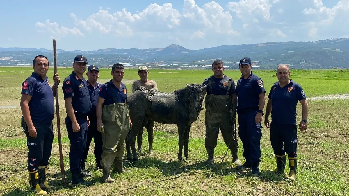 Katırlarını kurtarmak isterken kendisi de battı