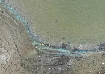 Sazlıbosna Barajı'nda ürküten manzara! Su renk değiştirdi balıklar ölmeye başladı