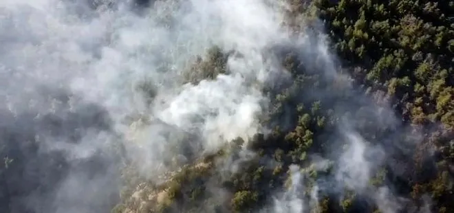 Bolu’da orman yangını! 5 hektar alan küle döndü