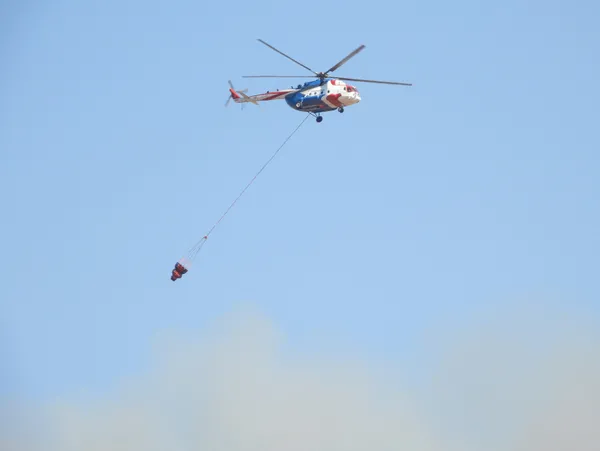 Orman Özel Harekat ekibi kuruldu! Bakan Kirişci rakamları paylaştı
