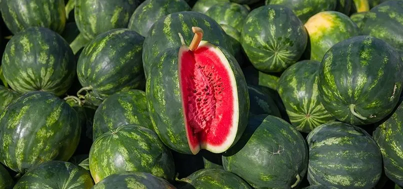 Yeni yılın ilk karpuzu tezgahlarda! Dilimle satılıyor