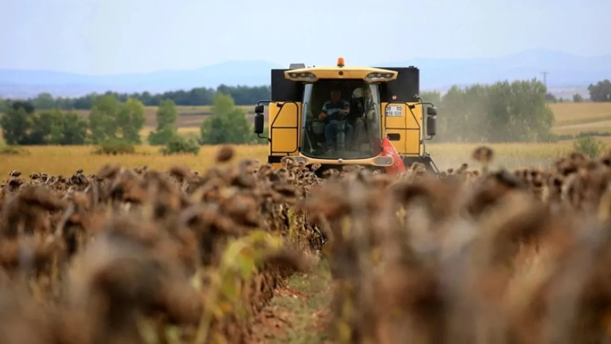 Bugün hesaplarda! Bakan Yumaklı duyurdu: Çiftçilere 694,5 milyon lira tarımsal destek ödemesi...