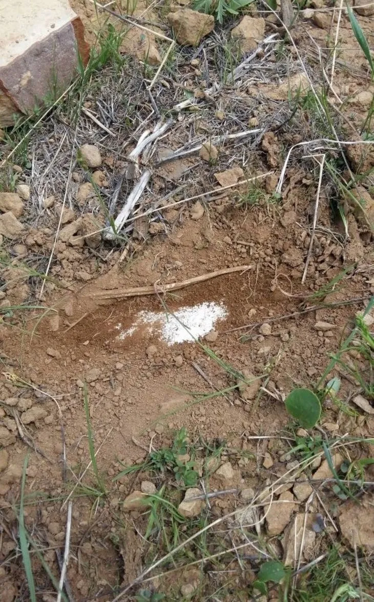 Bingöl’de toprağa gömülü 3 patlayıcı bulundu