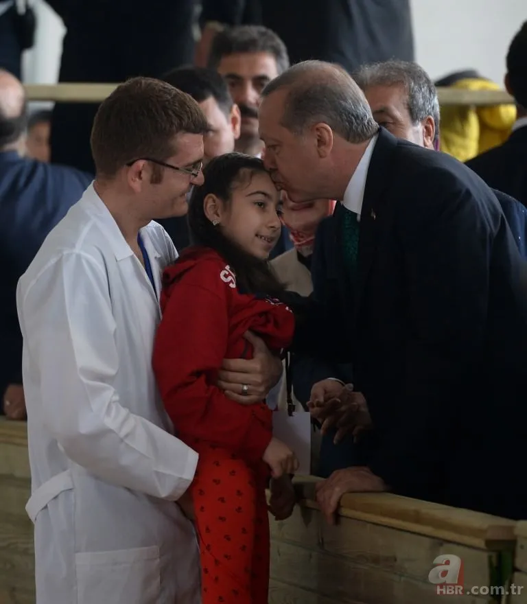 Katar emirinden Cumhurbaşkanı'na sürpriz: 53 tane Arap atı gönderdi 8