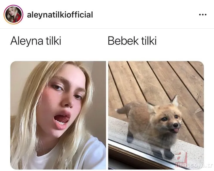 Aleyna Tilki tilki esprisi ile sosyal medyayı salladı!