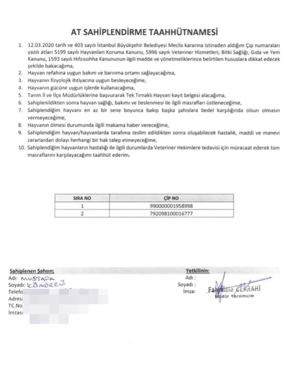 ibb-baskani-imamoglu-israrla-yalan-soyluyor-at-skandalinda-yeni-gelisme-1620765500272.jpg İBB Başkanı İmamoğlu ısrarla yalan söylüyor! At skandalında yeni gelişme - 2