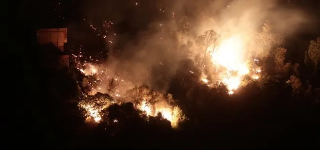Cezayir orman yangınlarına teslim: Onlarca ölü