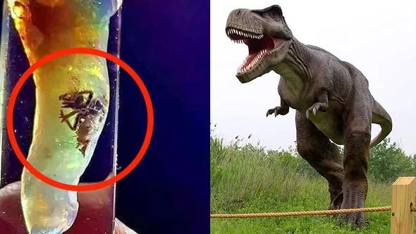 dinozorlar geri mi donuyor endonezya