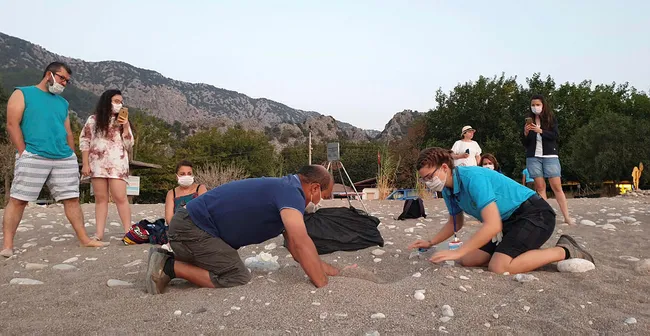 Çıralı'da bu sezon 3 bin 100 caretta caretta denizle buluştu - 4