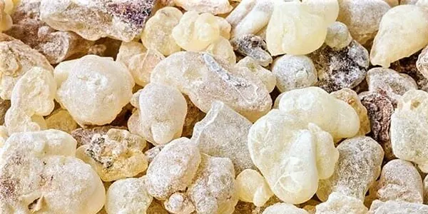 Ender Saraç önerdi! 1 hafta içinde 5 kilo garanti! Her gün tüketirseniz...