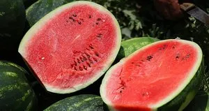 Karpuzun kilosu tarlada 7 liraya geriledi