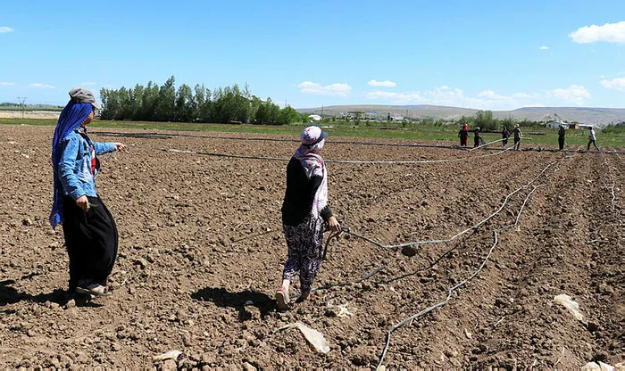 Başkan Erdoğan’ın çağrısıyla Gevaş’ta üretim seferberliği başladı