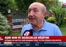 Aşırı nem ve sıcaklıklar düşüyor