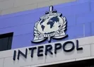 Interpolün kırmızı bültenle aradığı şüpheli yakalandı