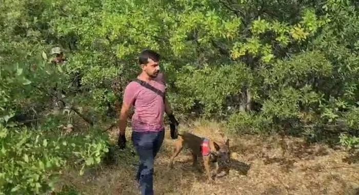 'Bir gün kaybolacağım kimse beni bulamayacak' diyen kadın ağaca asılı halde bulundu - 1