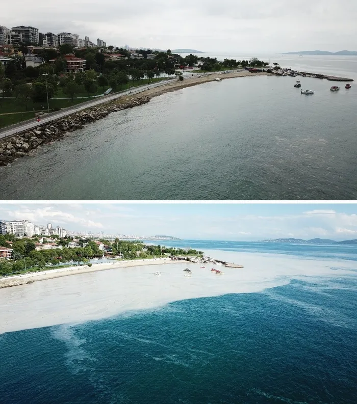 İstanul Caddebostan’da yağmur sonrası müsilaj azaldı