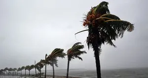 Harvey ve Irma kasırgaları ABD ekonomisini vurdu