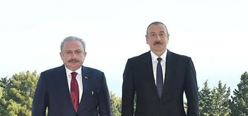 Azerbaycan Cumhurbaşkanı Aliyev TBMM Başkanı Şentop'u kabul etti
