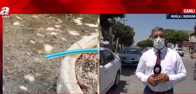 bodrumda-su-kesintisi-vatandasi-cileden-cikardi-neden-sular-akmiyor-1624527873991.jpg Bodrum’da su kesintisi vatandaşı çileden çıkardı! Neden sular akmıyor? - 2